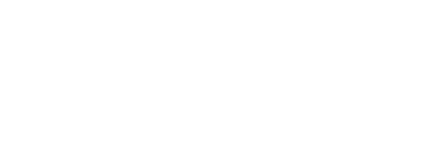 STEEL SHOT