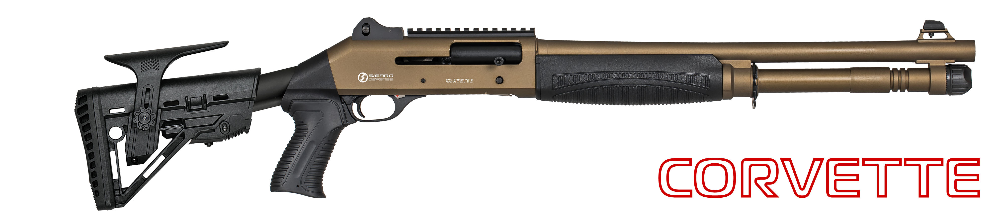 CORVETTE BRONZE-SP