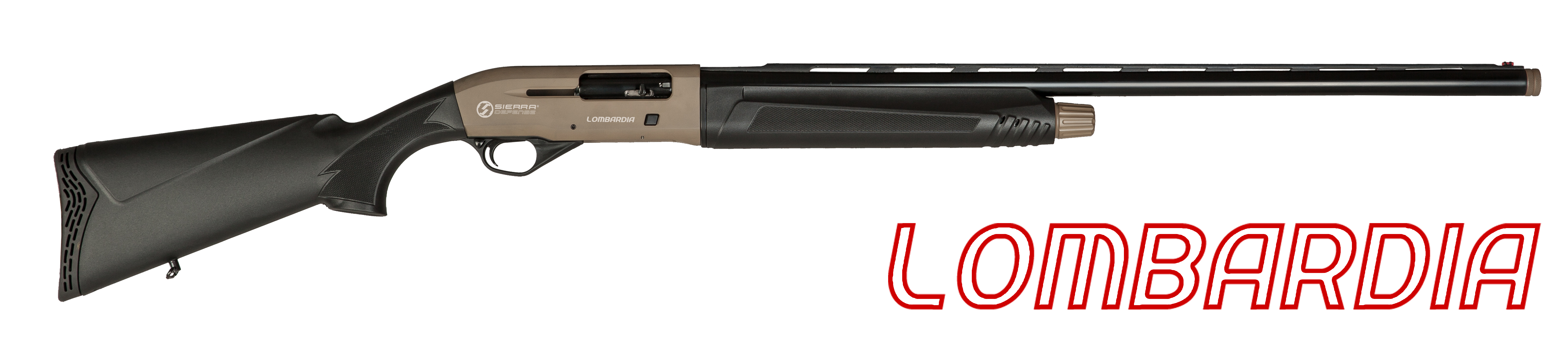 LOMBARDIA FDE
